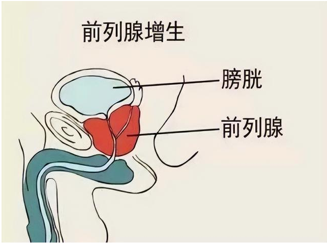 微信截图_20220927103559.png